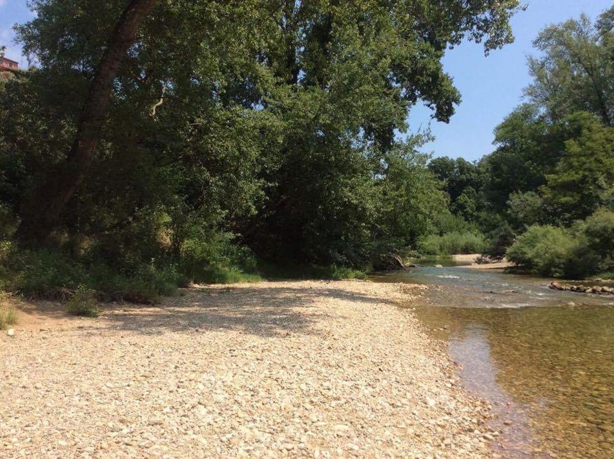 Campsite Le Parc Des Monges Auribeau-sur-Siagne